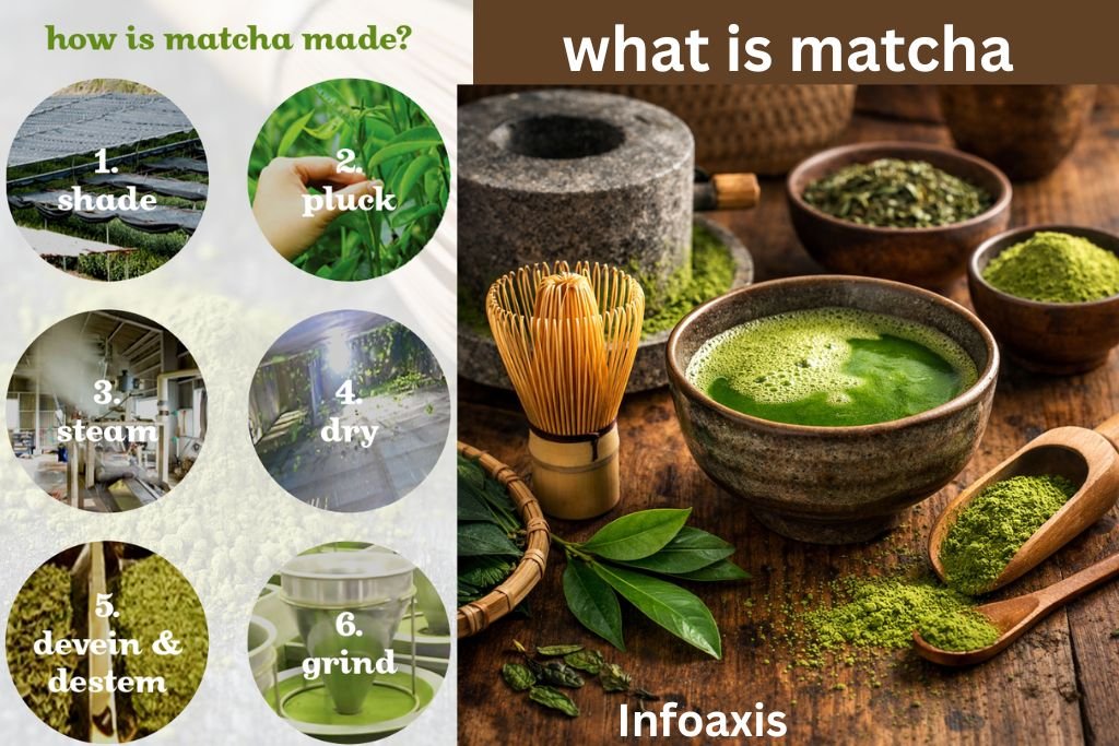 what is matcha